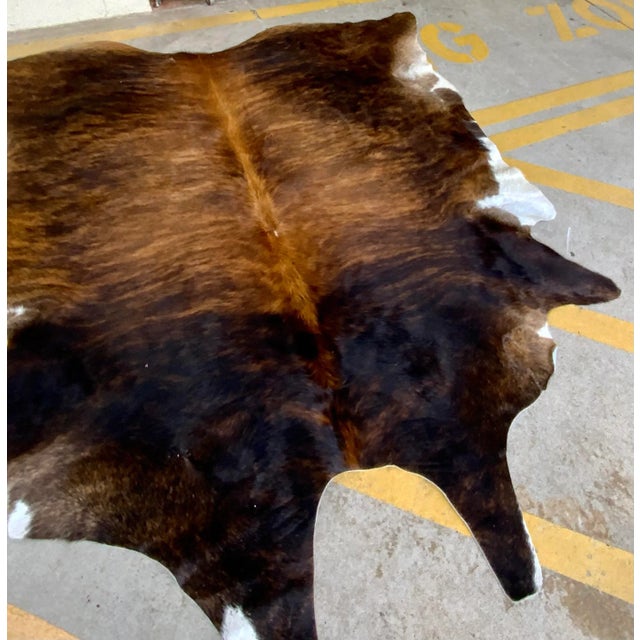 Modern Modern Brindle Hair on Hide For Sale - Image 3 of 6