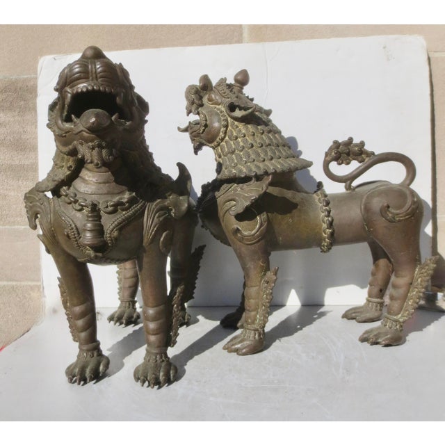 Nepalese cast bronze pair of male and female temple guardians. Beautifully detailed curls of the manes, feet, tails, and...