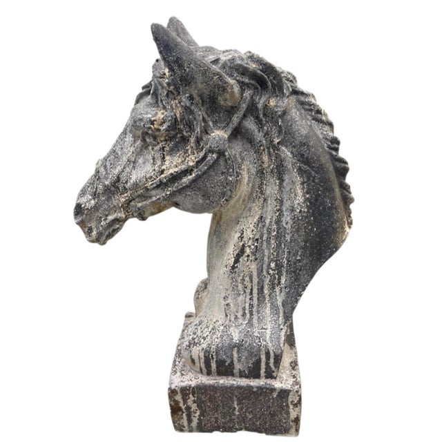 Antique Vintage Cast Iron Horse Head Bust Sculpture – Heavy Equestrian Garden & Entryway Statue For Sale In West Palm - Image 6 of 12