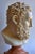 Italian Sculpture Ercole Head in Marble For Sale - Image 4 of 7