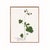 Antique Botanical Set in Oxblood - Set of 8 16" X 20" For Sale - Image 10 of 15