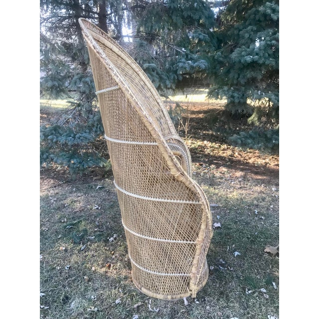 1970s 1970s Mid-Century Iconic Emmanuelle Grand Cobra Rattan Peacock Chair For Sale - Image 5 of 11
