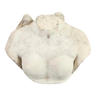 19th Century Italian Marble Bust Without Head For Sale