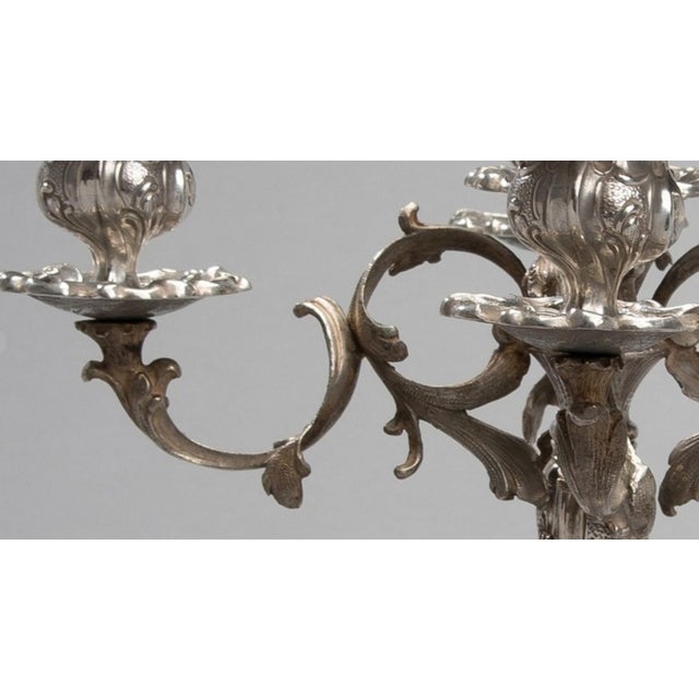 Mid 19th Century Antique 1800s Rocaille Decor Silver Candelabras - a Pair For Sale - Image 5 of 7