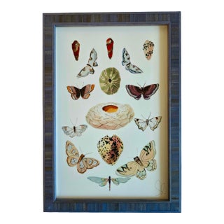 Framed Print on Archival Paper For Sale