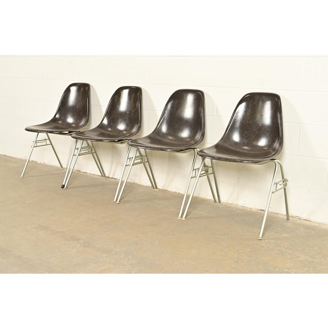 Mid-Century Modern Charles & Ray Eames for Herman Miller DSS Seal Brown Stacking Shell Chairs | Set of Four For Sale - Image 3 of 15