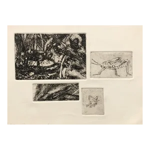 1969 Adrienne Anderson Grasshopper Multiplate Etching