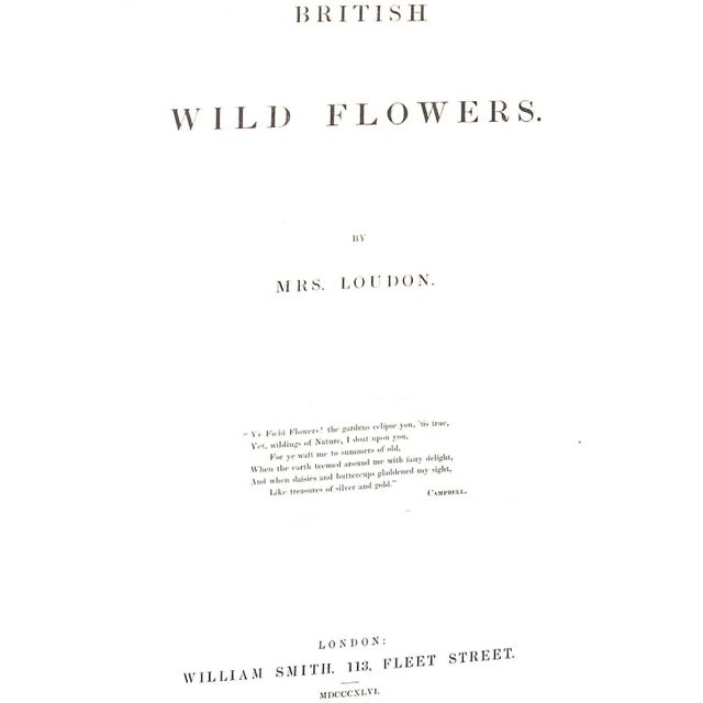 Traditional "British Wild Flowers" 1846 Mrs. Loudon For Sale - Image 3 of 12