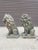Pair of 19th-Century Lion Sculptures - The Plantation Guardians: For Sale - Image 4 of 9