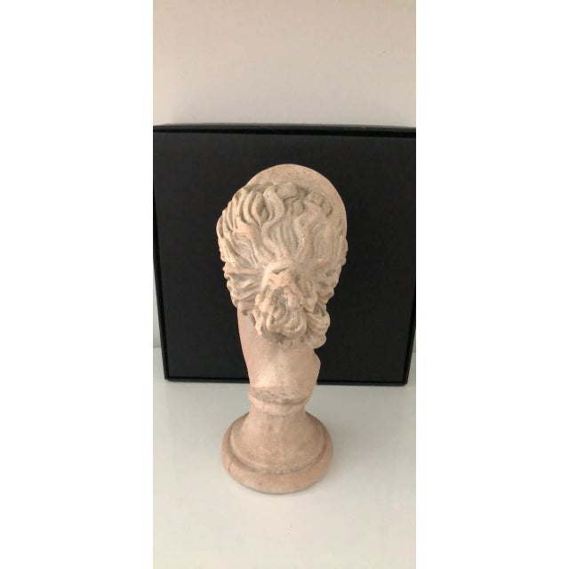 Stone Late 20th Century Grecian Diana Bust For Sale - Image 7 of 12