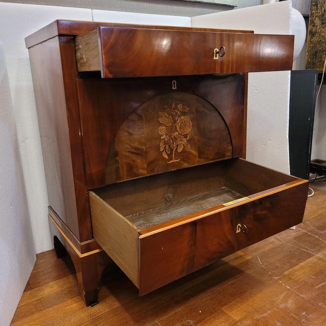 Biedermeier Chest of Drawers in Mahogany, Germany, 1840s For Sale - Image 12 of 18