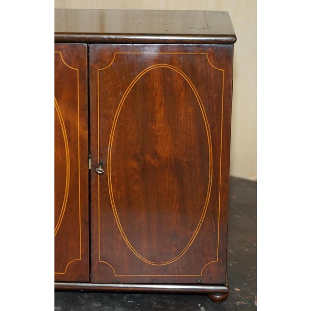 Gold Georgian Sheraton Collectors Cabinet, 1820s For Sale - Image 8 of 18