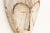 1950s Powder White Painted African Mask For Sale - Image 5 of 9