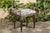 Metal French 1930s Steel Bench with Out-Scrolling Arms, Tapered Legs and Toile Fabric For Sale - Image 7 of 12
