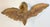 19th C. French Giltwood, Ormolu Swan Bed Corona, Circle Desmalter/ Krieger For Sale - Image 10 of 18