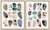 Hable Stones I & II Set by Susan Hable For Sale - Image 4 of 4