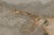Late 20th Century Rug & Kilim’s Modern Rug, Silver-Gray and Gold in Bold Abstract Pattern For Sale - Image 5 of 10