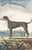 This charming hand-colored 1758 engraving is one of the oldest available prints of a dog. Taken from the 10th volume...