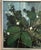 M. Jakobsson, White Blossoms, 1950s, Oil Painting on Canvas, Framed For Sale - Image 8 of 18