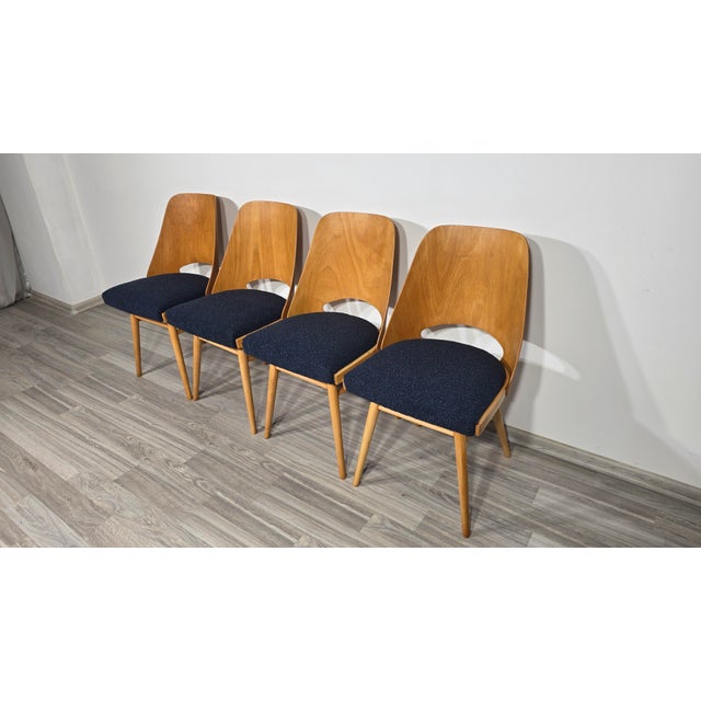 Dining Chairs by Radomir Hoffman for Ton, 1950s, Set of 4 For Sale - Image 6 of 15