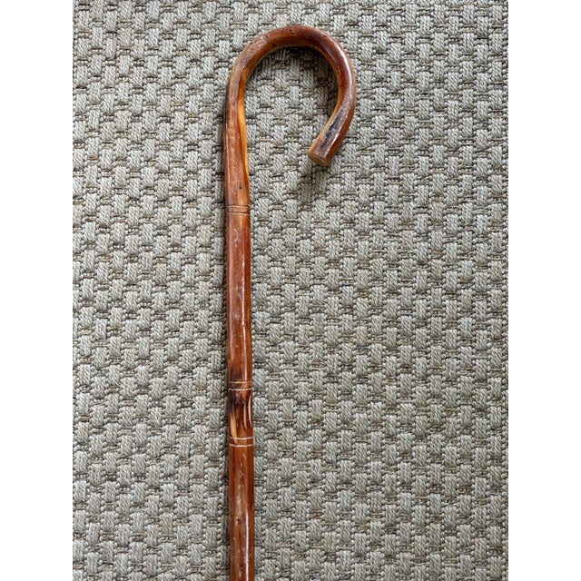 Mid 20th Century Rustic Estate Wood Bamboo Walking Canes - Set of 5 For Sale - Image 11 of 17