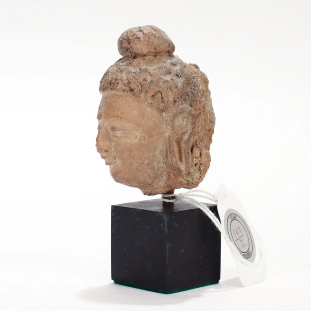 Ancient Gandharan Miniature Stucco Bust of the Buddha, Ca. 5th Century For Sale - Image 4 of 11