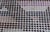 Early 21st Century Moleskin Modern Wool and Silk Rug by Doris Leslie Blau For Sale - Image 5 of 9