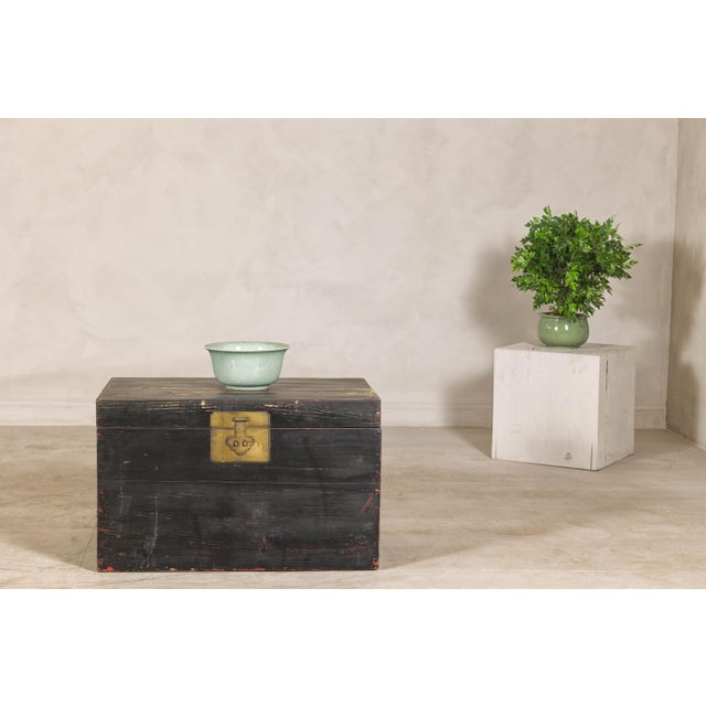 Early 20th Century Qing Dynasty Elmwood Blanket Chest with Black Lacquer Finish and Brass Accents For Sale In New York - Image 6 of 12