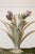 Rare, Vintage Italian Tole Metal Tulip Vase, W/ Center Glass Vase Insert For Sale - Image 4 of 7