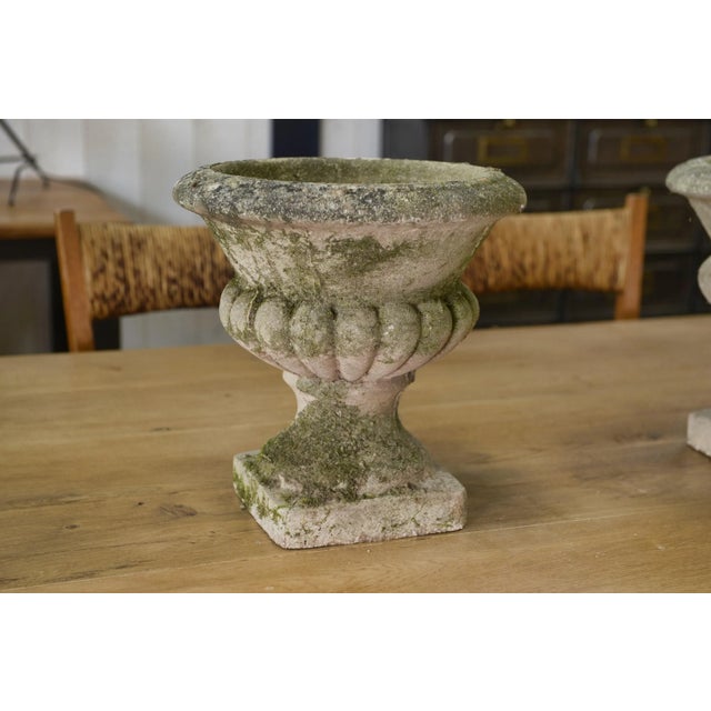 1950s Medici Vases in Reconstituted Stone, 1950s, Set of 2 For Sale - Image 5 of 12