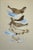 A fine painting by Konrad Cramer (Germany/NY 1883-1963). This work exhibits Cramer's whimsically precise approach to non-...