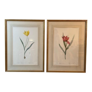 Vintage Framed Botanical Tulip Prints — A Pair For Sale