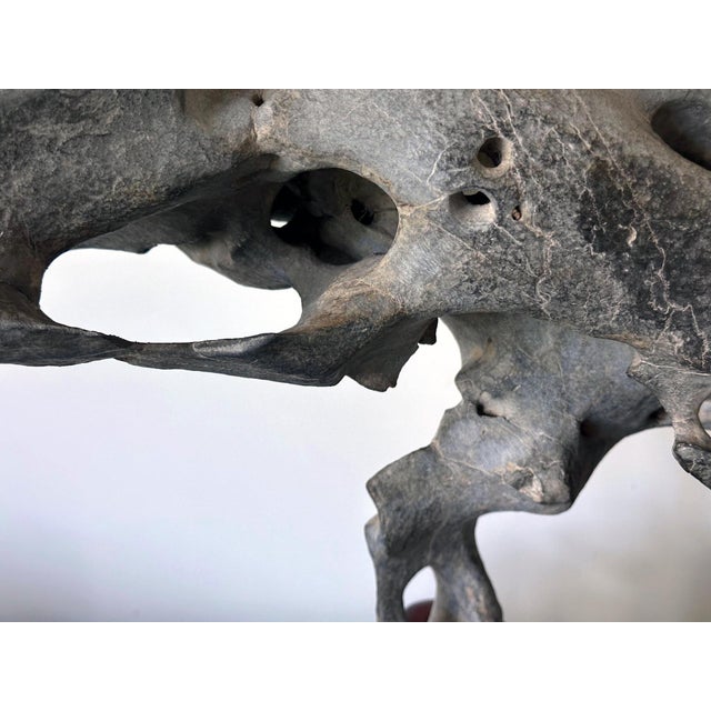 Extraordinary Chinese Taihu Scholar Stone Rare Form on Display Stand For Sale - Image 17 of 18
