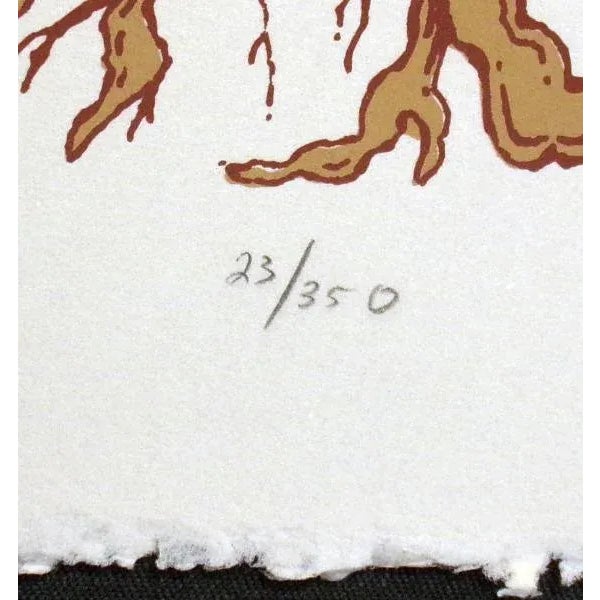 Jules Roch "Wild Carnations" Hand Signed Limited Edition Fine Art Serigraph For Sale - Image 4 of 6