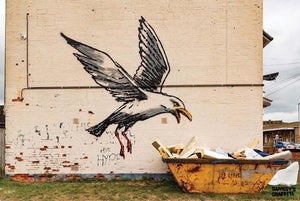 Banksy's Graffiti Art "Seagull Riding a Dumpster" Limited Edition Lithographic Print