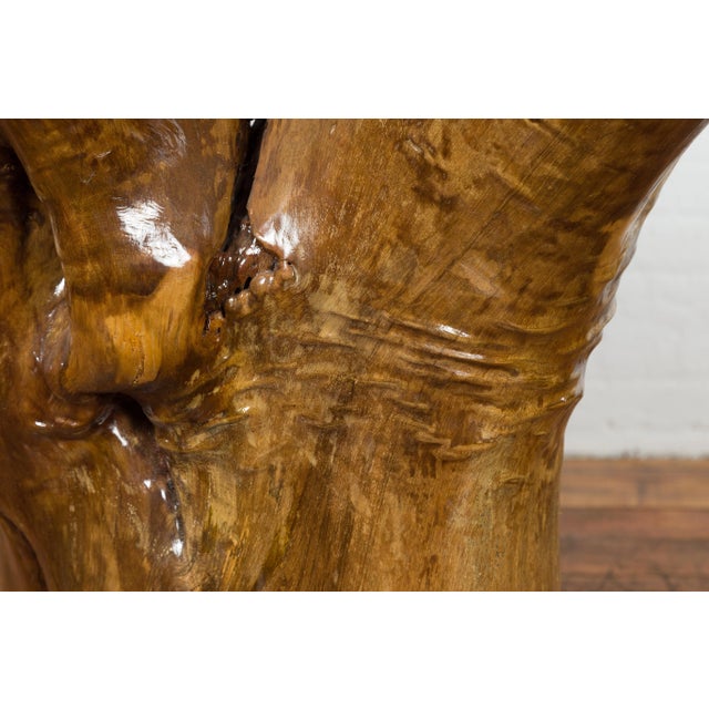 Vintage Camphor Wood Root Chair with Natural Varnish Lacquer For Sale - Image 12 of 12