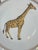 Chocolate 1980's Vintage Mottahedeh Exotic Animals Dinner Plates - Set of 5 For Sale - Image 8 of 11