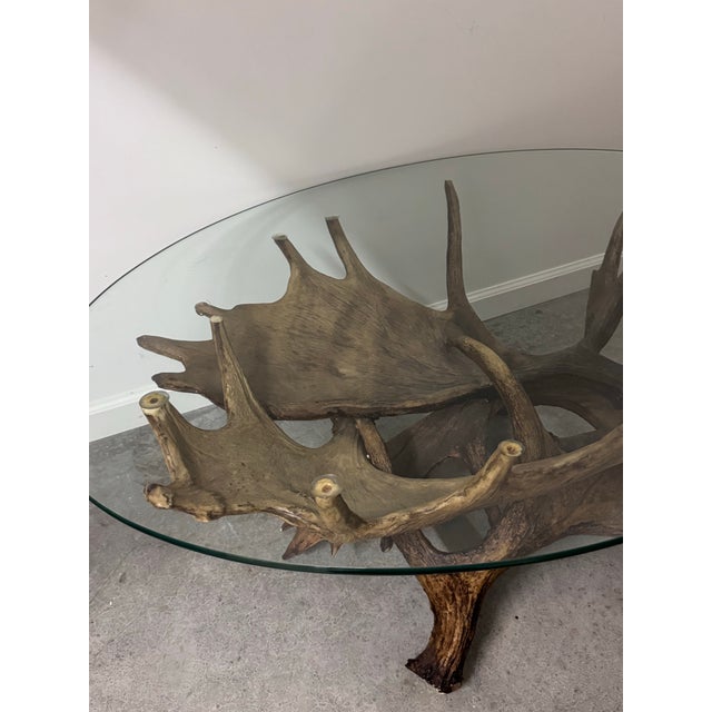 Late 20th Century Late 20th Century Moose Antler Coffee Table For Sale - Image 5 of 8