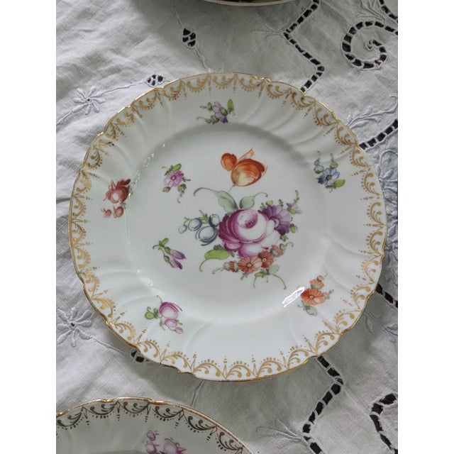 Meissen Porcelain Six Antique Meissen 6" Porcelain Plates With Hand Painted Garden Flowers & Gilt Highlights For Sale - Image 4 of 10
