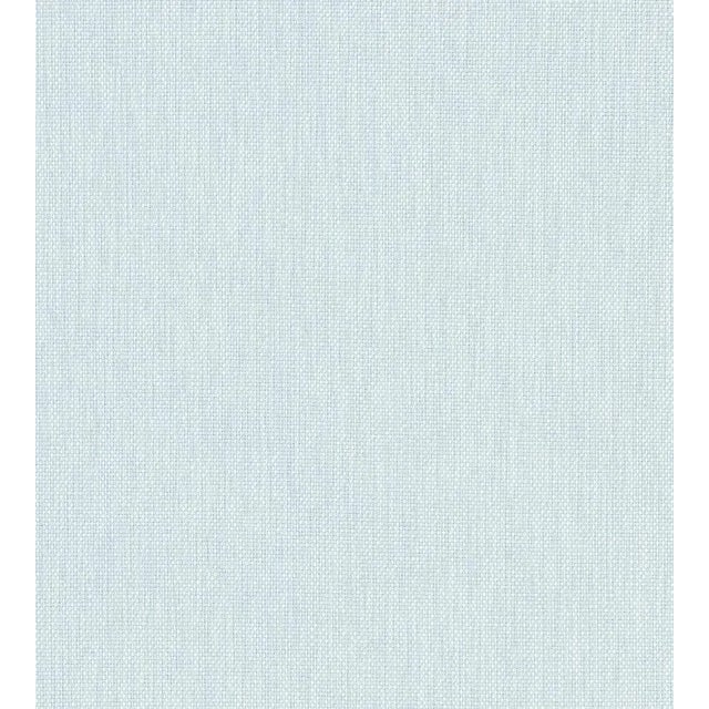 Sample - The House of Scalamandré Playa Bajamar Fabric, Sky For Sale