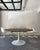 Iconic, 60” tulip table with walnut veneer top, and 6 four-star metal base chairs, designed by Maurice Burke for Arkana...
