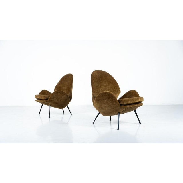Pair of Armchairs, Italy, 1950s - New Velvet Upholstey