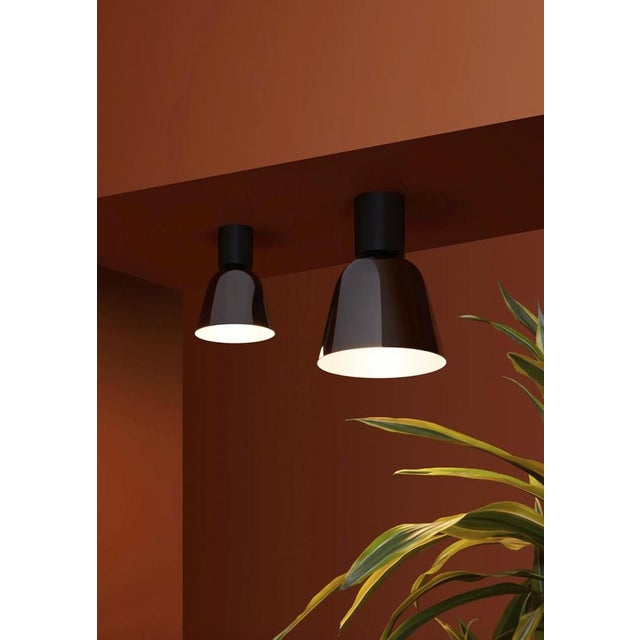 Lighto C GR and Lighto C PE Celling Lamp by Jaime Hayon for Parachilna, Set of 2 For Sale - Image 4 of 14