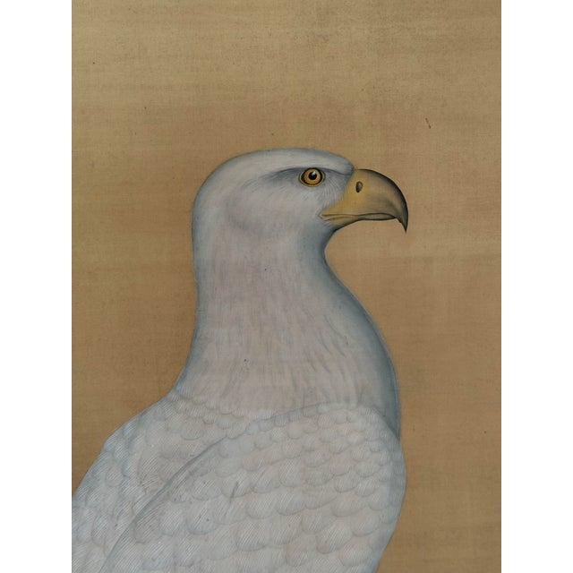 1920s Large Japanese Showa Period Falcon (Taka) Byōbu Screen Panel Nihonga Painting of Hawk on Perch, Framed Wall Art For Sale - Image 4 of 11