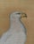 1920s Large Japanese Showa Period Falcon (Taka) Byōbu Screen Panel Nihonga Painting of Hawk on Perch, Framed Wall Art For Sale - Image 4 of 11