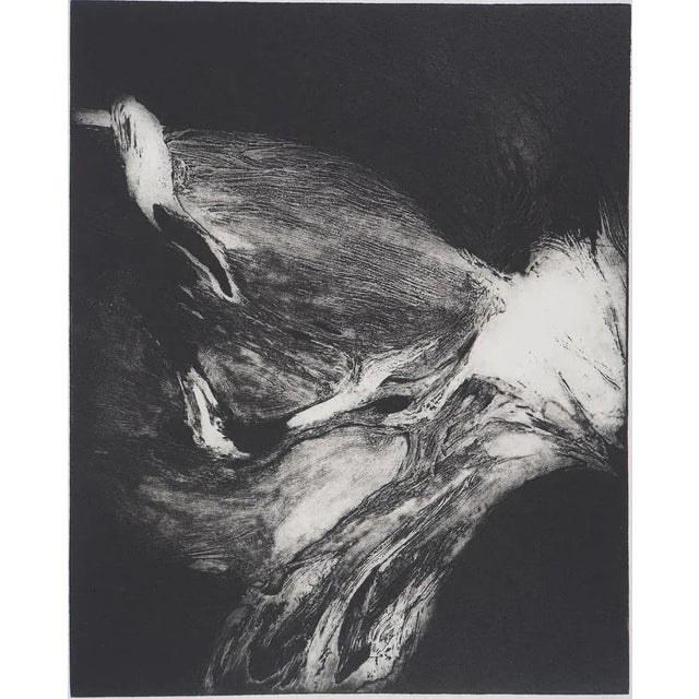 Stanislav Marijanovic, The Awakening of Consciousness, 1980s, Original Etching For Sale - Image 7 of 7