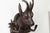 Pair of Black Forest 1880s Carved Wooden Chamois Coat or Hat Racks with Foliage For Sale - Image 12 of 12