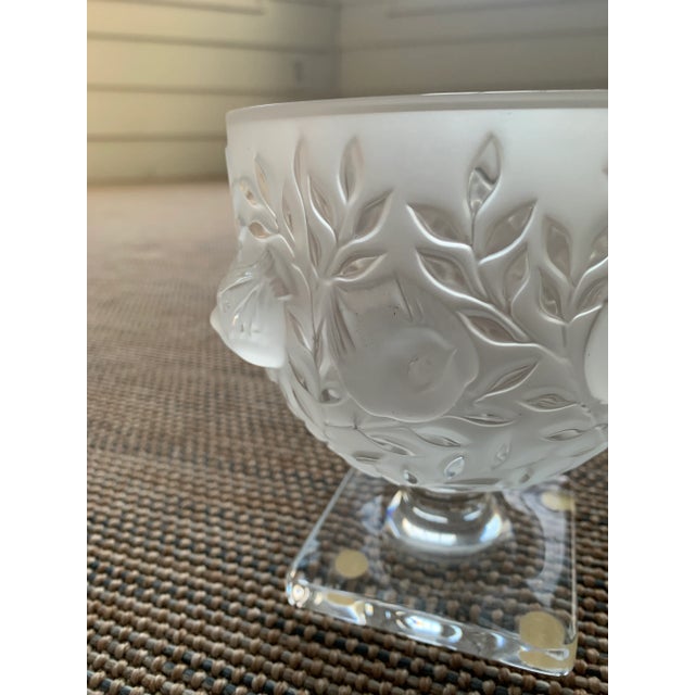 Lalique Dampierre crystal vase, signed on bottom. Designed in 1948 by Marc Lalique, this vase is decorated with carved...