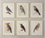 19th-Century Bird Illustrations — Fine Art Print Collection | Unframed For Sale - Image 17 of 17