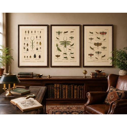 Richard Tümpel, Mantis, Stick Insects & Grasshoppers, 1908, Lithograph, Set of 3 For Sale - Image 6 of 12
